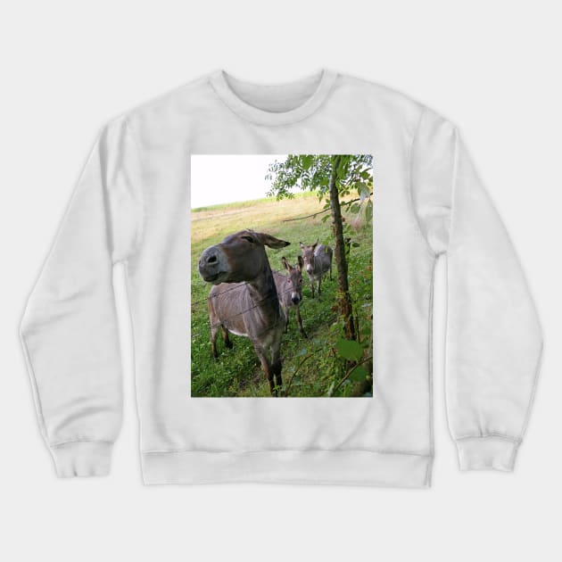 THE PANASONIC FZ 1000  PAR OKAIO CREATION Crewneck Sweatshirt by caillaudolivier